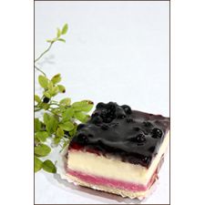 282 Mustikkaleivos 120g